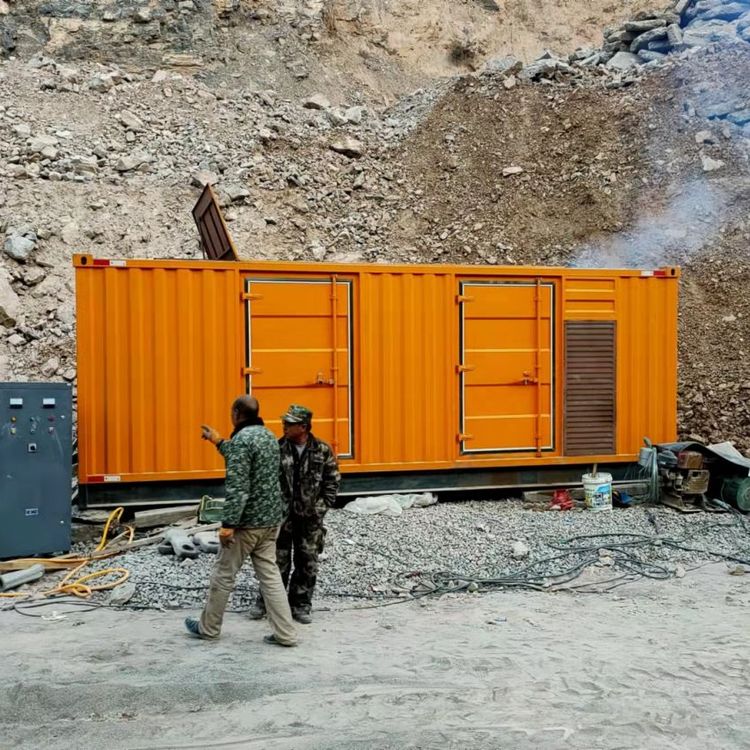 利国镇如何选择适合自己的 800KW 柴油发电机组？